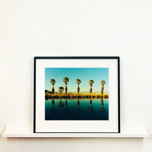 Desert Oasis, photography series of eight.