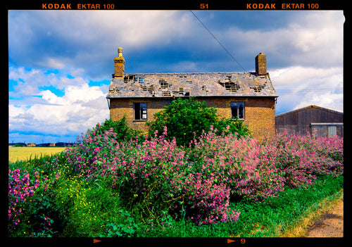 Aspen Farmhouse, Curf Fen, Summer 2024