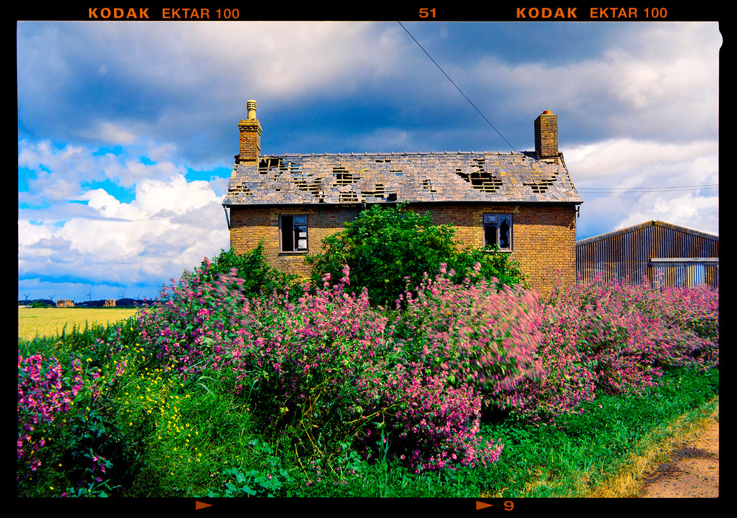 Aspen Farmhouse, Curf Fen, Summer 2024