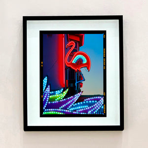 Neon Flamingo, Norfolk, 2022