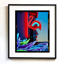 Load image into Gallery viewer, Neon Flamingo, Norfolk, 2022