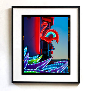 Neon Flamingo, Norfolk, 2022