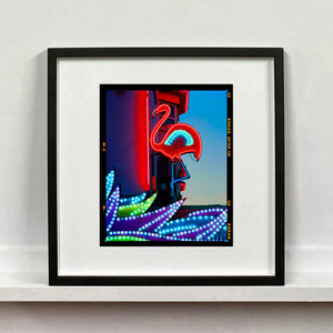 Neon Flamingo, Norfolk, 2022