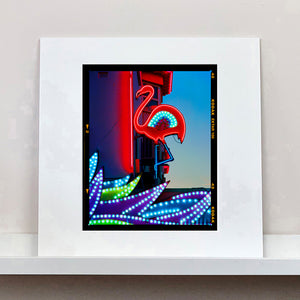Neon Flamingo, Norfolk, 2022