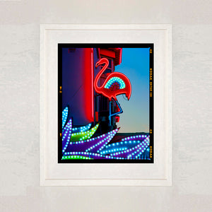 Neon Flamingo, Norfolk, 2022
