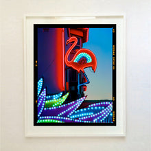 Load image into Gallery viewer, Neon Flamingo, Norfolk, 2022