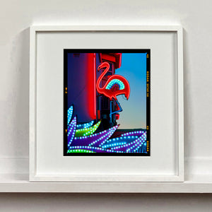 Neon Flamingo, Norfolk, 2022
