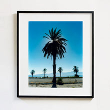 Load image into Gallery viewer, Palm Tree silhouette against blue California sky Salton Sea black frame photograph by Richard Heeps