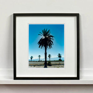 Palm Tree silhouette against blue California sky Salton Sea small black frame photograph by Richard Heeps