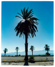 Load image into Gallery viewer, Palm Tree silhouette against blue California sky Salton Sea photography by Richard Heeps