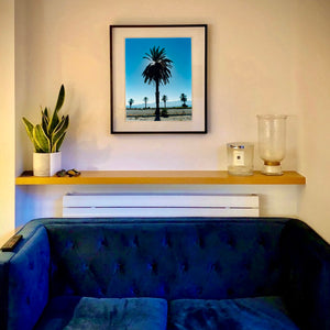 Palm Tree silhouette against blue California sky Salton Sea black frame photograph on the wall by Richard Heeps