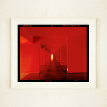 Load image into Gallery viewer, Red Dinosaur II, Milan, 2020