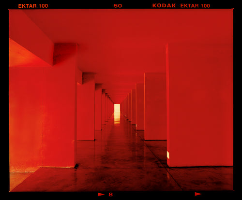 Red Dinosaur II, Milan, 2020