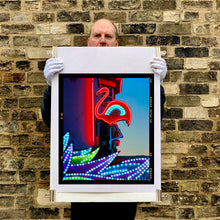 Load image into Gallery viewer, Neon Flamingo, Norfolk, 2022