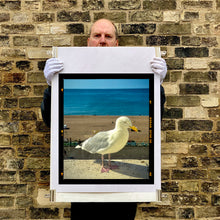 Load image into Gallery viewer, The Queens Seagull, Brighton, 2025