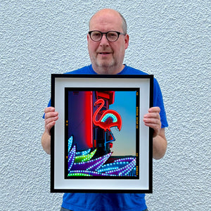 Neon Flamingo, Norfolk, 2022