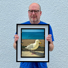 Load image into Gallery viewer, The Queens Seagull, Brighton, 2025