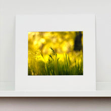 Load image into Gallery viewer, Mounted photograph by Richard Heeps. Green grasses sit in a yellow sunlight haze.