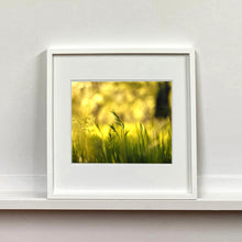 Load image into Gallery viewer, White framed photograph by Richard Heeps. Green grasses sit in a yellow sunlight haze.