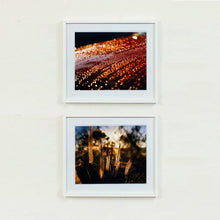 Load image into Gallery viewer, Two white framed photographs by Richard Heeps. The top photograph is of a brown metal surface with water droplets on. The lighting makes the droplets appear in different colours of orange and brown. The bottom is cotton toped grass caught in the evening sun.
