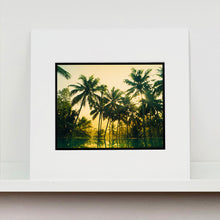 Load image into Gallery viewer, Mounted photograph by Richard Heeps. Green palms trees against a warm golden sky, and reflected in a pool below.