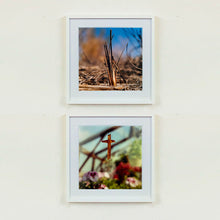 Load image into Gallery viewer, Two white framed photographs by Richard Heeps. The top photograph is of a distinct reed tuft sticking out of a blurred reed bed. A summer blue sky is also blurred behind and the image is bathed in summer sun. The bottom photograph is a rusty orange sticker of a cross stuck on a window. Behind the window are blurred red, pink and white flowers and struts of a greenhouse.