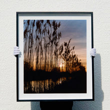 Load image into Gallery viewer, Photograph held by photographer Richard Heeps. Reeds stand tall and reflect down onto the water with a setting sun behind them.