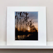 Load image into Gallery viewer, Mounted photograph by Richard Heeps. Reeds stand tall and reflect down onto the water with a setting sun behind them.