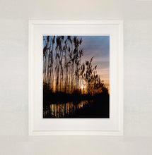 Load image into Gallery viewer, White framed photograph by Richard Heeps. Reeds stand tall and reflect down onto the water with a setting sun behind them.