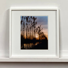Load image into Gallery viewer, White framed photograph by Richard Heeps. Reeds stand tall and reflect down onto the water with a setting sun behind them.