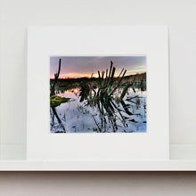 Load image into Gallery viewer, Mounted photograph by Richard Heeps. Photograph of cut down, lichen clad branches poking out of the flooded fen field. The branches are strikingly dark and create dark reflections with a golden sunset in the background.