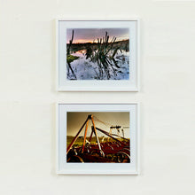Load image into Gallery viewer, White framed photograph by Richard Heeps. Photograph of cut down, lichen clad branches poking out of the flooded fen field. The branches are strikingly dark and create dark reflections with a golden sunset in the background. The bottom photograph is of the wheels of an orangy/rusty looking plough bathed in the evening dusk light.