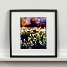Load image into Gallery viewer, Black framed photograph by Richard Heeps. Snow drops appear clearly close up and then out of focus in the distance. The sky is out of focus browns and goldens.