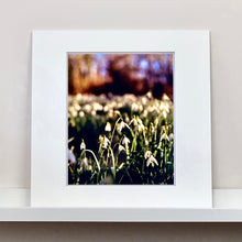 Load image into Gallery viewer, Mounted photograph by Richard Heeps. Snow drops appear clearly close up and then out of focus in the distance. The sky is out of focus browns and goldens.