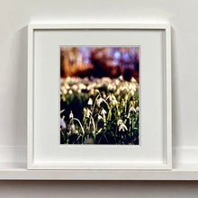 Load image into Gallery viewer, White framed photograph by Richard Heeps. Snow drops appear clearly close up and then out of focus in the distance. The sky is out of focus browns and goldens.