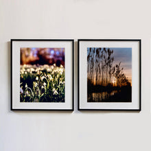 Load image into Gallery viewer, Two black framed photographs by Richard Heeps. The photograph on the left hand side features snow drops appearing clearly close up and then out of focus in the distance. The sky is out of focus browns and goldens. The photograph on the right hand side is tall reeds standing darkly reflecting in the water below and with an evening sunset in the sky behind them.