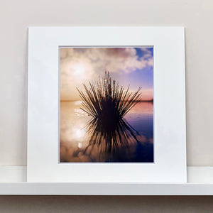 Mounted photograph by Richard Heeps. A tussock of grass sits at dusk in fenland water. It is bathed in a golden dusk light.