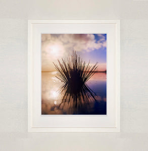 White framed photograph by Richard Heeps. A tussock of grass sits at dusk in fenland water. It is bathed in a golden dusk light.