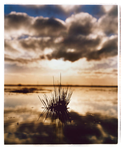 Photograph by Richard Heeps. A tussock of grass sits at dusk in fenland water. It is siting under a black and white cloud formation with a golden dusk hue.