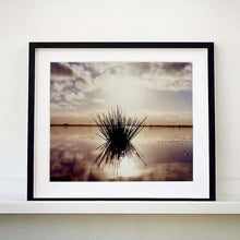 Load image into Gallery viewer, Black framed photograph by Richard Heeps. A tussock is central to this photograph, black and reflected black into the fenland water below. The sky behind is dusky and atmospheric.