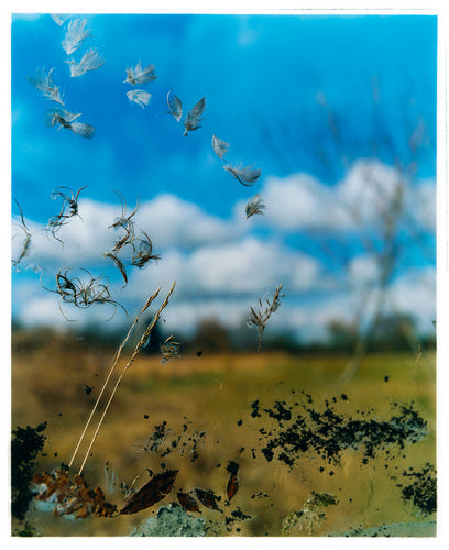 Photograph by Richard Heeps. Feathers, leaves, sticks and other fenland debris appears at the front of this photograph with a hazy blue fenland sky and scene blurred behind.