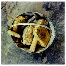Load image into Gallery viewer, Photograph by Richard Heeps. A bucket with sponges, brushes and wooden handled tools sit in a bucket on a cracked cement floor.
