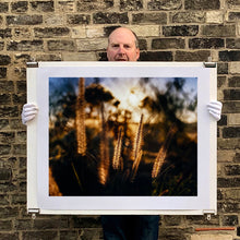 Load image into Gallery viewer, Photograph held by photographer Richard Heeps. Cotton top grass is captured with the early sunrise filtering through it. The photograph is in neutral tones.