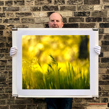 Load image into Gallery viewer, Photograph held by photographer Richard Heeps. Green grasses sit in a yellow sunlight haze.