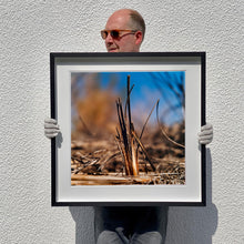 Load image into Gallery viewer, Black framed photograph held by photographer Richard Heeps. Photograph of a distinct reed tuft sticking out of a blurred reed bed. A summer blue sky is also blurred behind and the image is bathed in summer sun.