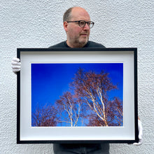 Load image into Gallery viewer, Black framed photograph held by photographer Richard Heeps. This photograph is looking up at the tops of four leafless silver birches against a deep blue autumn sky.