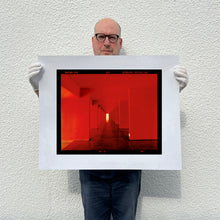 Load image into Gallery viewer, Red Dinosaur II, Milan, 2020