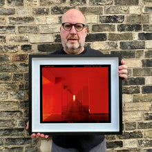 Load image into Gallery viewer, Red Dinosaur II, Milan, 2020