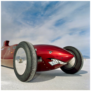 Photograph by Richard Heeps.  The side on front of a red belly tank racing car, it is designed as a shark eating a $100 bill.