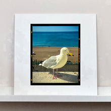 Load image into Gallery viewer, The Queens Seagull, Brighton, 2025